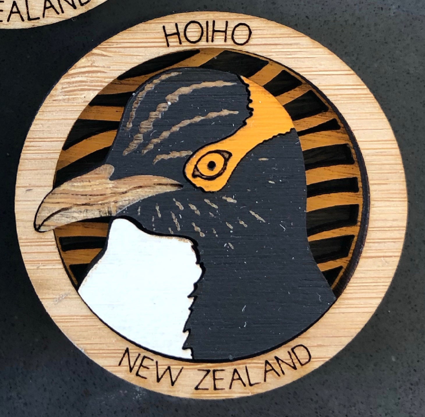 Hoiho (Yellow-eyed penguin) HotSpot